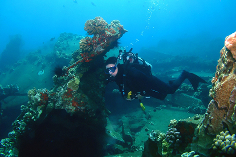 Calida Diving 2