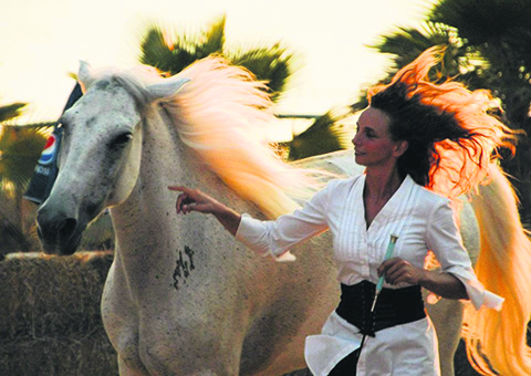 horse and flamenco 2