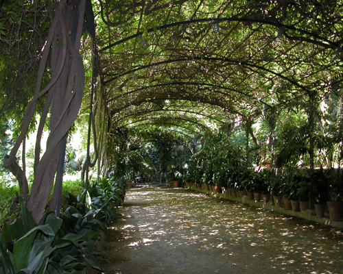 A warm walk in the gardens of Malaga