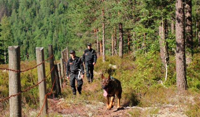 Criticism of the proposed Finnish border fence with Russia