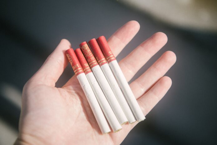 Polish authorities seize 21.5 million illegal cigarettes