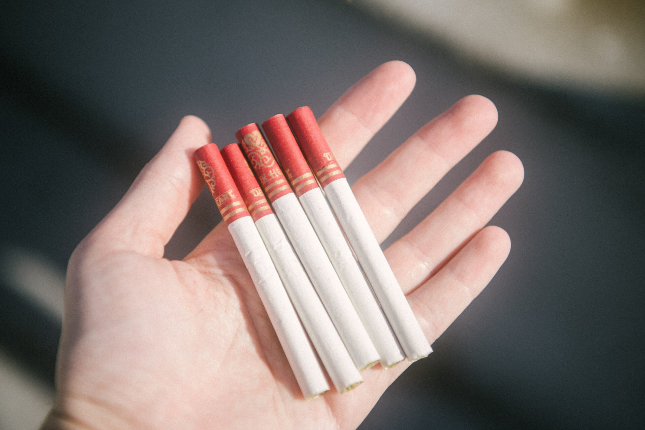 Polish authorities seize 21.5 million illegal cigarettes