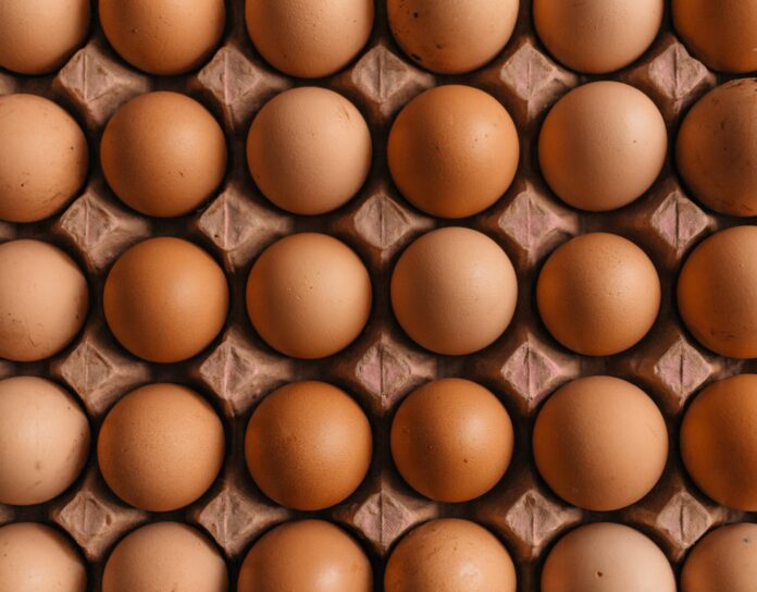 UK retailers turn to EU to help resolve egg shortage