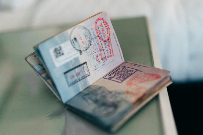 Dutch former civil servant admits forging passports for serious criminals