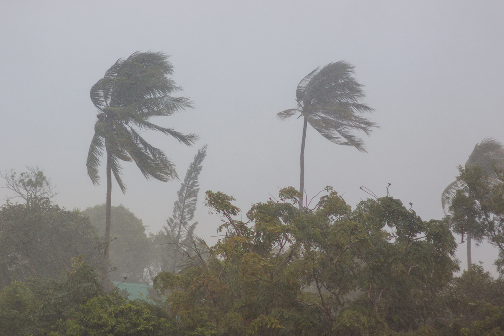 Over 30 killed during a tropical storm in Madagascar.